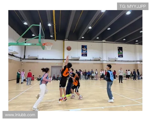 以篮球为纽带探索团队合作与青春拼搏的激情故事