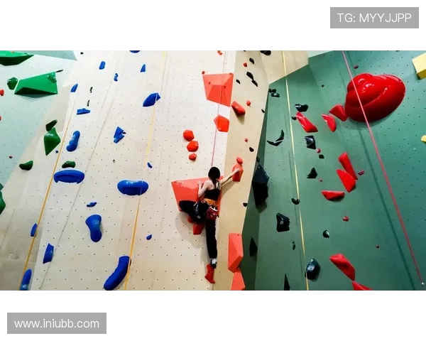 武汉攀岩队耐力对比研究揭示训练效果与运动表现的深层关系