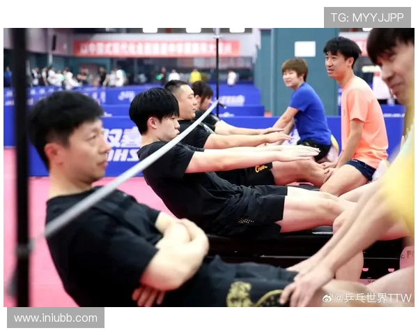 深度剖析上海乒乓球队技术特点与其他球队的差异与优势